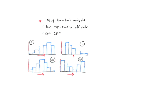 which-one-of-the-following-histograms-could-represent-a-distribution-of-salaries-paid-at-a-financial-company-with-many-low-level-analysts-few-top-ranking-employees-and-one-ceo-o-graph-i-grap-76922