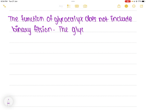 functions-of-the-glycocalyx-include-all-of-the-following-except-protection-from-destruction-by-macrophages-binary-fission-increased-pathogenicity-biofilm-formation-protection-against-dehydration