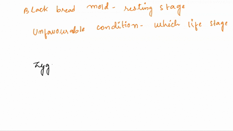 which-part-of-the-life-cycle-of-black-bread-mold-is-the-resting-stage-that-can-survive-unfavorable-c-93383