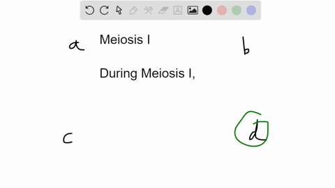 question-42-which-of-the-following-statements-describes-the-chromosomal-makeup-of-each-daughter-cell-after-telophase-of-meiosis-i-not-yet-answered-select-one-a-the-cells-are-diploid-and-the-22342
