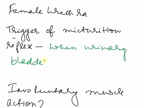 ewhat-triggers-the-micturition-retlex-fwhat-are-the-involuntary-muscle-actions-of-micturition-gvoluntary-control-over-micturition-ls-provided-by-the-the-following-questions-bladder-bladderne-05992