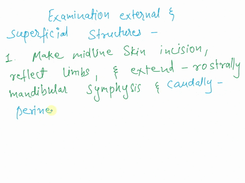 the-steps-are-at-the-top-numbered-1-6-exercise174orderingperforminganecropsy-1examination-of-external-and-superficial-structures-2examination-of-the-body-cavities-3examination-of-the-head-an-05902