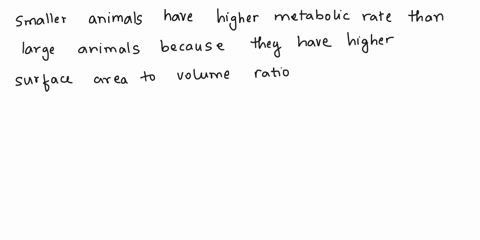 which-of-the-following-animals-you-expect-to-have-the-highest-basal-metabolic-rate-relative-to-one-kilogram-of-body-mass-omouse-0horse-odog-oelephant-43104