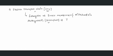 where-is-the-electron-transport-chain-located-98167
