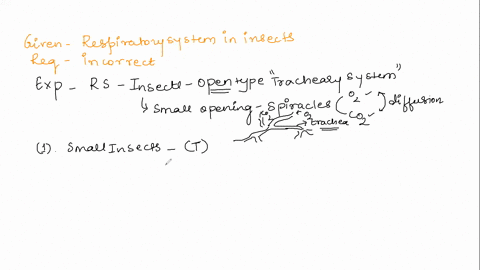 each-of-the-following-statements-about-the-insect-respiratory-system-is-true-except-in-small-insects-the-tracheal-system-can-deliver-air-to-tissues-through-simple-diffusion-alone-spiracles-c-45987