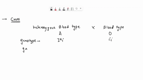 someone-who-is-heterozygous-blood-type-a-and-and-a-person-who-is-type-o-have-a-kid-what-is-the-probability-of-the-kid-being-type-a-62449