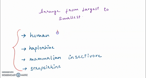 From largest to smallest rank the cross sectional area of...