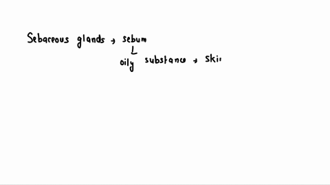 the-glands-in-the-skin-that-produce-a-cloudy-soon-to-be-odoriferous-secretion-and-are-found-in-the-armpits-and-groin-are-the-sebaceous-glands-ceruminous-sweat-glands-apocrine-glands-eccrine-50413
