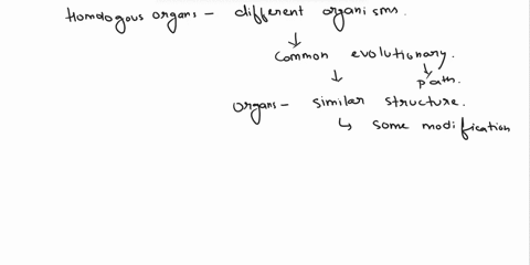 which-of-the-following-are-homologous-organs-a-wings-of-birds-and-locust-b-wings-of-birds-sparrow-and-pectoral-fins-of-fish-c-wings-of-bat-and-butterfly-d-legs-of-frog-and-cockroach-70717