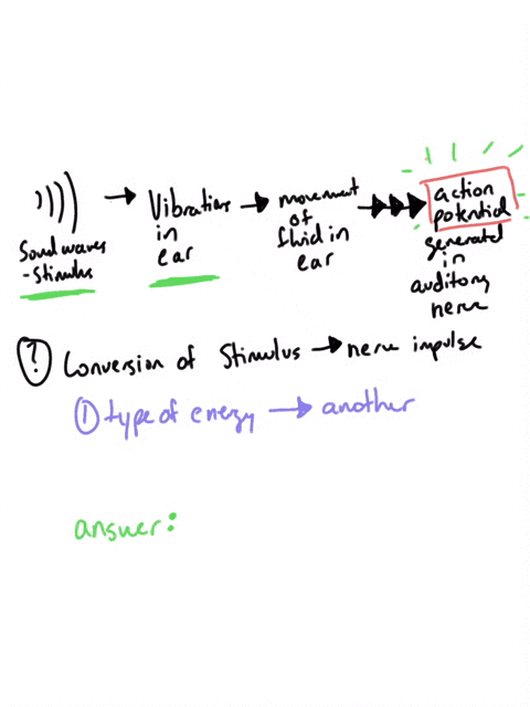 the-conversion-of-an-environmental-stimulus-into-a-nerve-impulse-is-called-sensory-a-conduction-b-2-51333