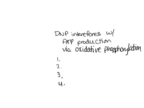 what-effect-would-dnp-have-on-atp-production-if-added-to-culture-media-which-of-the-following-do-you-predict-would-happen-please-explain-1-obligate-aerobes-would-be-able-to-grow-but-slower-t-81917