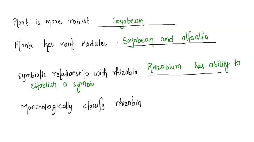 SOLVED:PART G. NITROGEN FIXATION Legumes, the family of plants to which