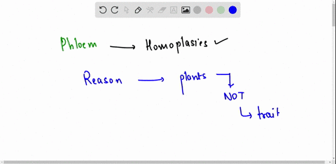 which-of-the-following-is-not-a-homoplasy-in-plant-evolution-explain-why-not-a-phloem-b-double-fertilization-c-vessel-element-d-heterospory-16339