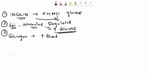 among-insulin-epinephrine-and-glucagon-which-would-activate-phosphoprotein-phosphatase-an-enzyme-that-turns-on-glycogenesis-and-turns-off-glycogenolysis-options-epinephrine-only-glucagon-onl-72392