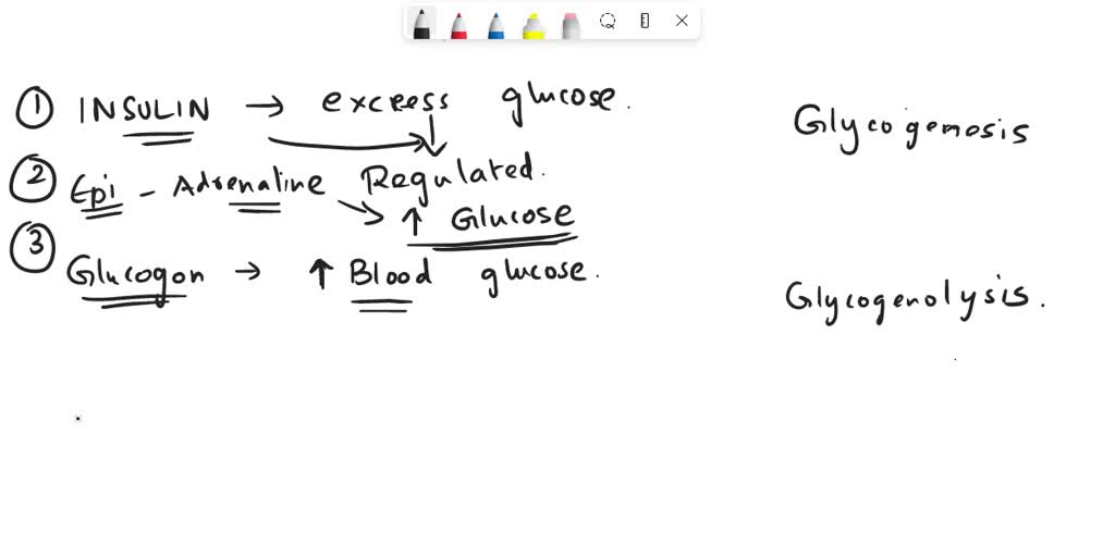 SOLVED: Among Insulin, Epinephrine and Glucagon, which would activate ...