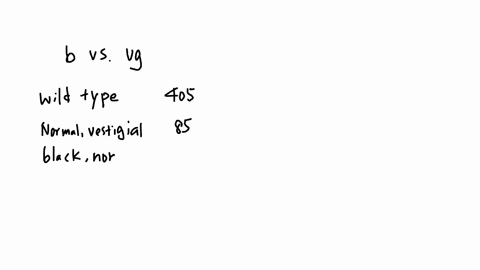 in-drosophila-b-is-the-allele-for-normal-body-color-and-at-the-same-gene-b-is-the-allele-for-black-body-color-a-second-gene-controls-wing-shape-the-shape-can-be-either-normal-vg-or-vestigial-08412