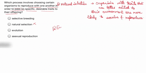 i-need-the-answer-which-process-involves-choosing-certain-organisms-to-reproduce-with-one-another-in-order-to-pass-on-specific-desirable-traits-to-their-offspring-selective-breeding-natural-66224
