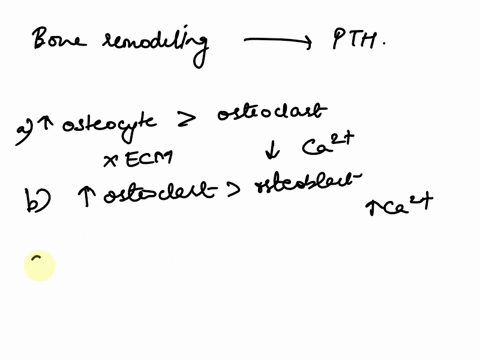 in-bone-remodeling-and-homeostasis-parathyroid-hormone-increases-osteocyte-acitivty-relative-to-osteoclast-activity-removing-ecm-and-decreasing-blood-ca-levels-increases-osteoclast-acitivty-30842