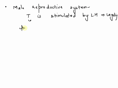 in-the-male-reproductive-system-________-stimulates-sertoli-cells-which-in-turn-leads-to-the-stimulation-of-spermatogenesis-a-testosterone-b-gnrh-c-lh-d-fsh-e-estrogen-66154