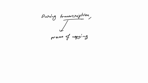 during-transcription-which-parts-of-a-dna-molecule-are-transcribed-into-rna-group-of-answer-choices-all-of-the-nucleotides-in-dna-on-both-strands-only-regions-of-the-dna-that-contain-genes-only-parts