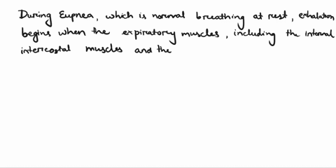 co4-during-eupnea-exhalation-begins-when-answers-a-e-a-blood-circulation-is-at-its-lowest-b-the-diaphragm-contracts-c-external-intercostals-contract-d-expiratory-muscles-relax-e-the-diaphrag-18948