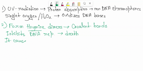 1-what-type-of-radiation-in-sunlight-causes-damage-to-dna-beta-radiation-uv-radiation-correct-gamma-radiation-alpha-radiation-2-how-does-uv-radiation-damage-dna-it-causes-frameshift-mutation-84984
