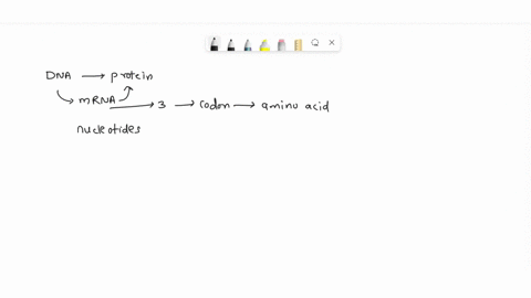 a-mutation-that-replaces-one-amino-acid-in-a-protein-with-another-is-called-a-____________-mutation-a-frameshift-b-recombinant-c-nonsense-d-missense-e-neutral-68666