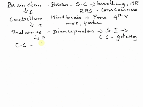 pleaso-match-the-fcllowing-structure-and-function-brain-stem-cerebellum-jthalarus-cerebral-cortex-corpu-s-callosum-hippocampus-amyquanla-basal-ganglu-ihypothalamus-splnal-cord-releasing-horm-63007