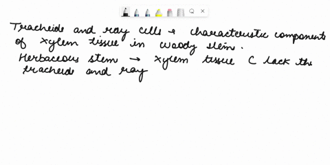 which-of-the-following-are-not-true-of-vascular-tissues-in-herbaccous-stems-of-vessel-clements-and-fibers-wcll-as-trachelds-and-ray-cells-xylem-can-be-comprised-phloem-is-allve-at-maturity-a-88624