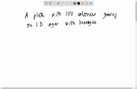 in-a-molecular-biology-laboratory-student-obtained-competent-e-coli-cells-and-used-common-transformation-procedure-to-induce-the-uptake-of-plasmid-dna-with-a-gene-for-resistance-to-the-antib-01826