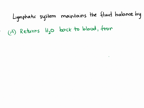 how-does-the-lymphatic-system-help-in-fluid-balance-within-the-body-a-it-returns-water-back-to-the-blood-from-the-fluid-between-the-cells-b-it-triggers-the-thirst-reflex-which-signals-the-bo-62648