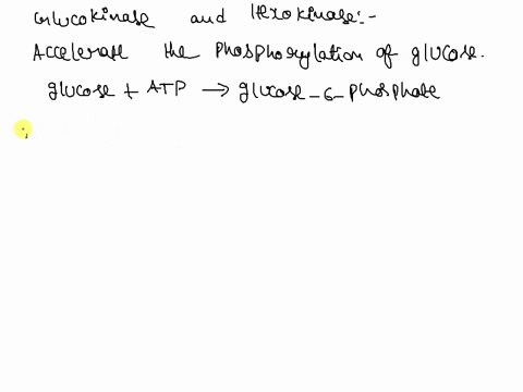 given-glucokinase-in-liver-catalyzes-the-same-reaction-as-hexokinase-but-compared-to-hexokinase-glucokinase-has-a-substantially-higher-km-for-glucose-which-of-the-following-statements-is-mos-92024