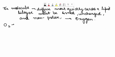 which-of-the-following-molecules-will-diffuse-most-quickly-across-a-lipid-bilayer-membrane-a-h2o-b-na-c-glucose-d-h2po4-e-o2-ive-isolated-it-down-to-h2o-and-o2-but-im-not-sure-which-one-diff-88984