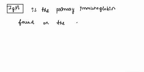 found-primarily-on-the-surface-of-immature-b-cells-igg-iga-igm-ige-igd-46963