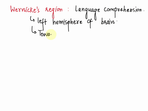 what-area-of-the-brain-controls-language-comprehension-brocas-area-wernickes-area-amygdala-limbic-system-31929