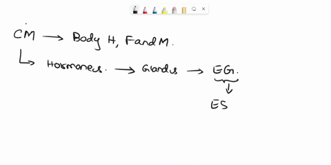 which-is-endocrine-function-a-pyloric-glands-release-mucus-to-the-stomach-b-adrenal-glands-release-adrenaline-into-the-blood-c-esophageal-glands-release-mucus-into-the-esophagus-d-salivary-g-24551
