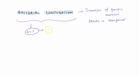 which-plate-serves-as-a-control-in-the-bacterial-conjugation-experiment-how-do-they-serve-this-purpose-be-short-and-concise-55537