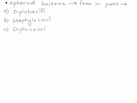 q4-spherical-bacteria-that-form-in-pairs-ie-two-cells-are-called-a-diplobacilli-b-staphylococci-c-diplococci-89355