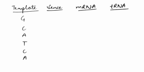 eurncr-lonely-single-stand-ol-dna-fill-in-ine-complemenin-you-have-sett-stranla-usc-ihc-scnse-jnad-o-cumnicuicuan-ijna-using-th-letplute-dna-made-strand-t0-figur-oui-therna-anti-strznd-0-mak-58725
