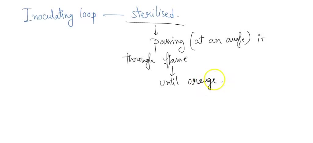 SOLVED: 6. Know how to properly handle and use the inoculation loop ...