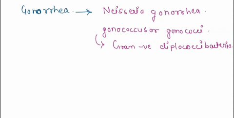 you-have-patient-suffering-from-gonorrhea-sexually-transmitted-infecion-caused-by-mpisserio-gonorrhoeae-neisseria-gonorrhoeae-species-gram-negative-diplococci-bactena-ilo-confirm-diagnosis-y-56973