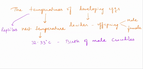 question-4-1pts-aresearcher-hypothesizes-that-crocodile-gender-is-determined-by-the-incubation-temperature-of-the-egg_-the-hypothesis-states-that-an-average-nest-temperature-of-32-33-c-resul-03334