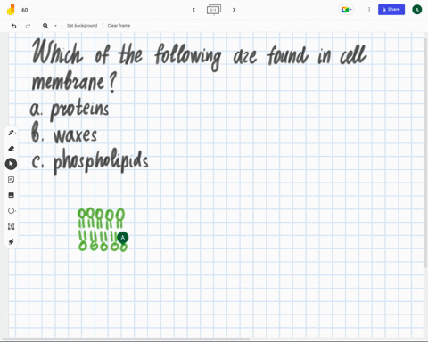 which-of-the-following-are-found-in-cell-membranes-a-proteins-b-waxes-c-phospholipids-44415
