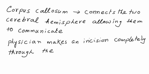 a-physician-makes-an-incision-completely-through-the-corpus-callosum-how-might-this-affect-the-patient-53688