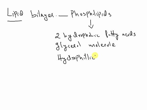 every-cell-is-covered-by-a-membrane-that-separates-the-cell-from-its-outside-environment-a-major-component-of-a-cell-membrane-is-its-lipid-bilayer-which-is-made-of-phospholipids-phospholipid-22836