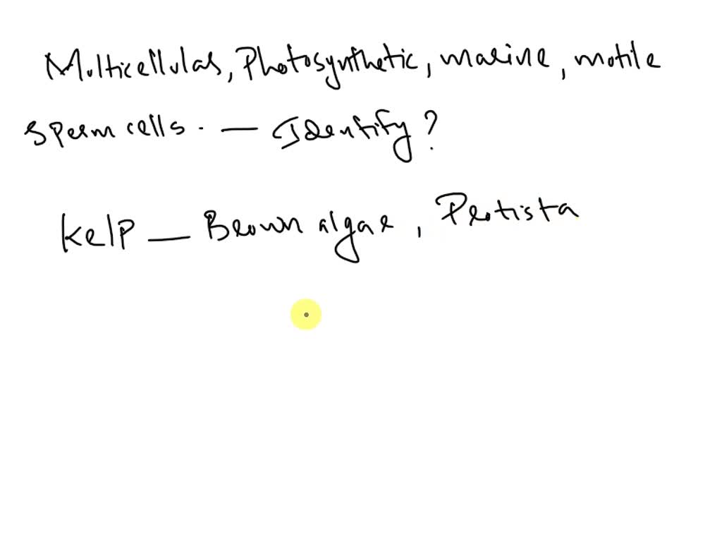 SOLVED: I am a multicellular, photosynthetic marine organism with