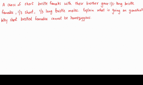 a-virgin-drosophila-female-whose-thorax-bristles-are-very-short-is-mated-with-a-males-having-normal-long-bristles-the-f1-progeny-are-13-short-bristle-females-13-long-bristle-females-and-13-l-26451