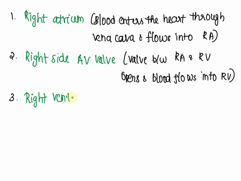 place-the-following-structures-in-numerical-order-based-on-the-path-of-blood-through-the-heart-question-1-2-pts-place-the-following-structures-in-numerical-order-based-on-the-path-of-blood-t-81191