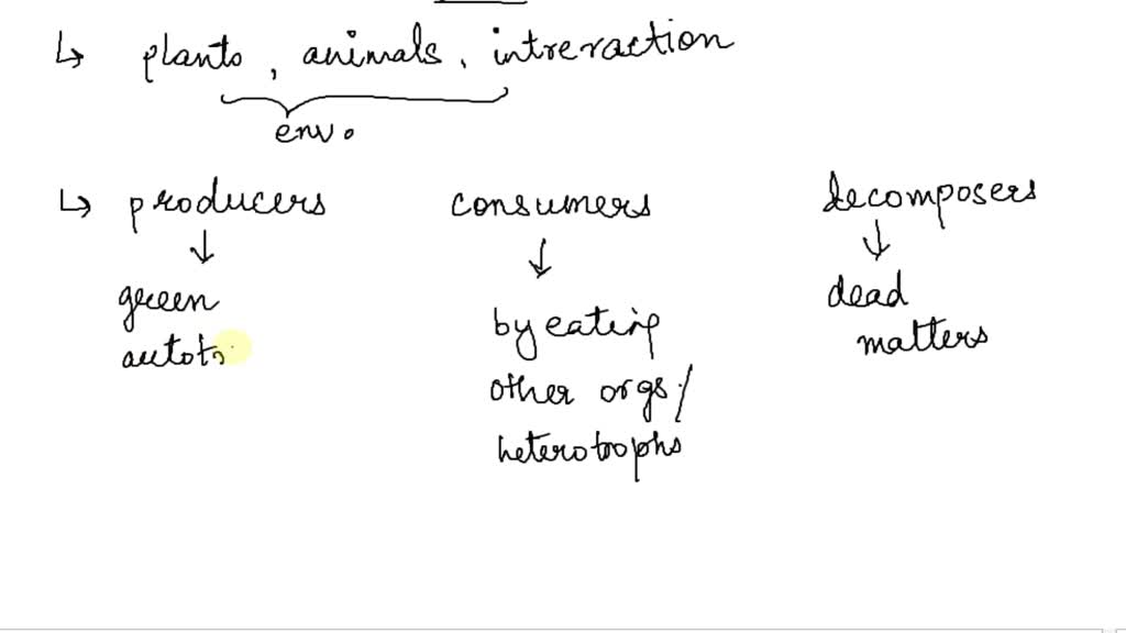 SOLVED question 23 (1 point) In any ecosystem, terrestrial or aquatic