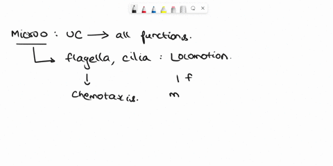 question-8-which-of-the-following-organisms-do-not-use-ilagella-for-movemera-trichomonas-trypanosoma-giardia-toxoplasma-all-of-these-have-flagella-98523
